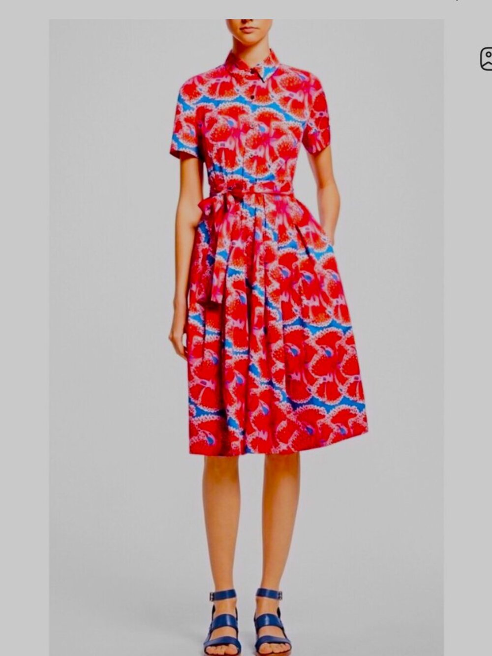 Brooks Brothers by Zac Posen Poppy Print Shirtdress